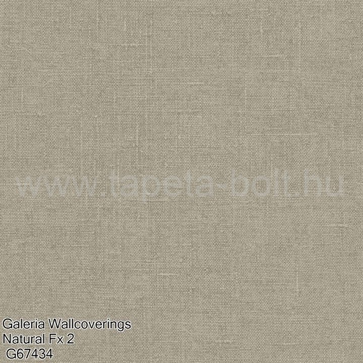 Galeria Wallcoverings Natural Fx 2 G67434