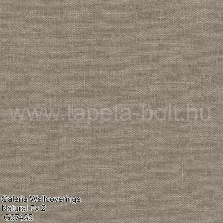 Galeria Wallcoverings Natural Fx 2 G67435