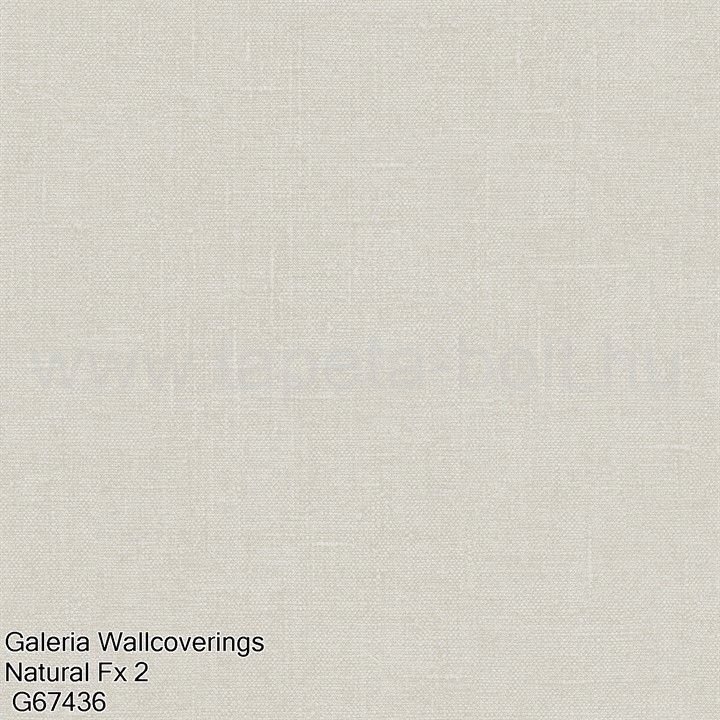 Galeria Wallcoverings Natural Fx 2 G67436