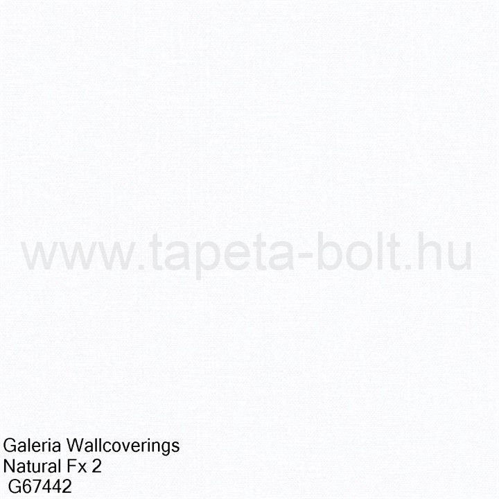 Galeria Wallcoverings Natural Fx 2 G67442