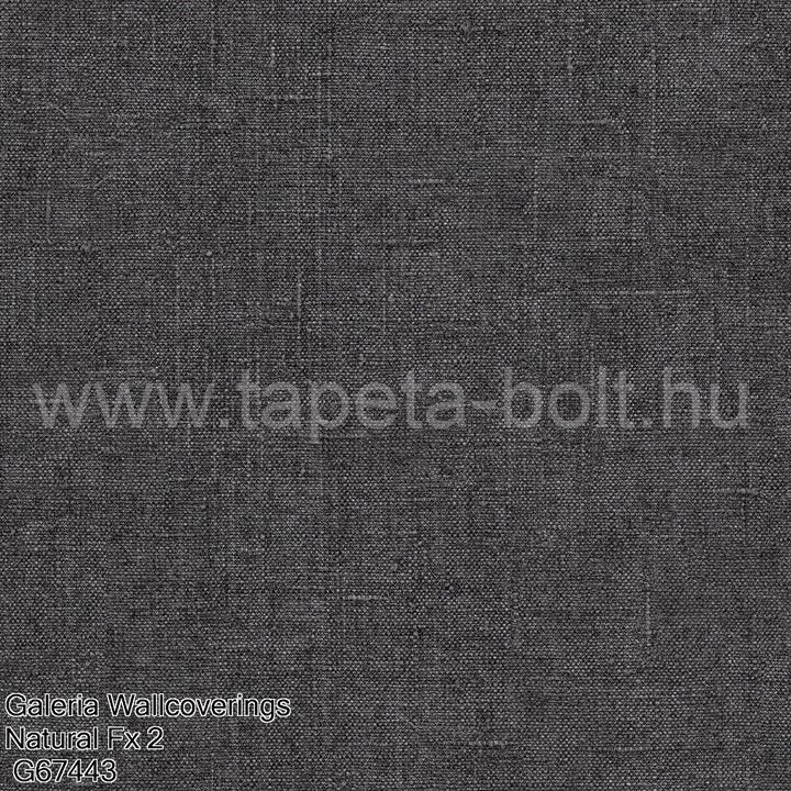 Galeria Wallcoverings Natural Fx 2 G67443