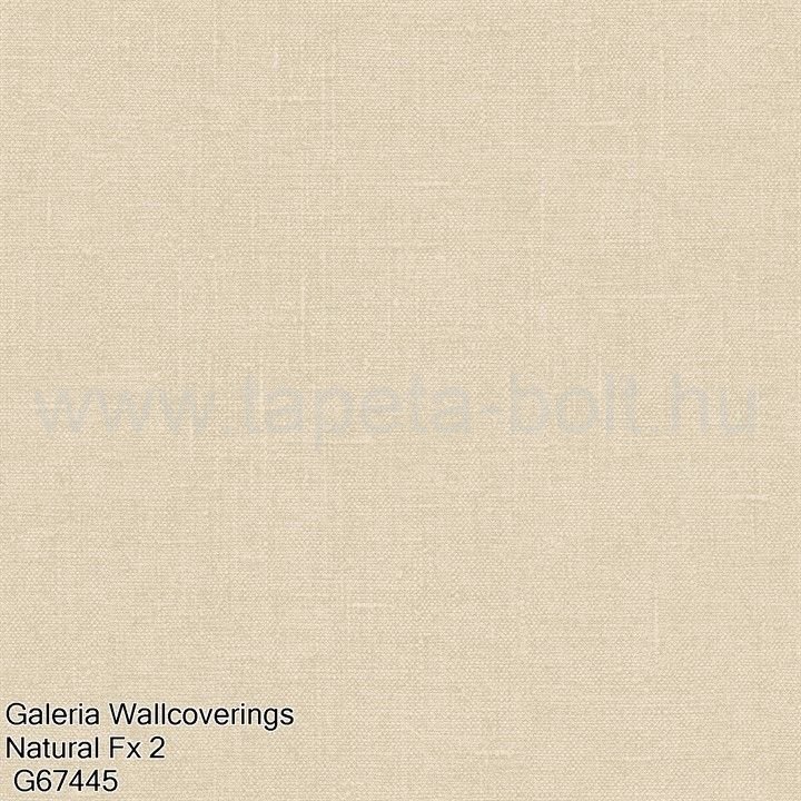 Galeria Wallcoverings Natural Fx 2 G67445