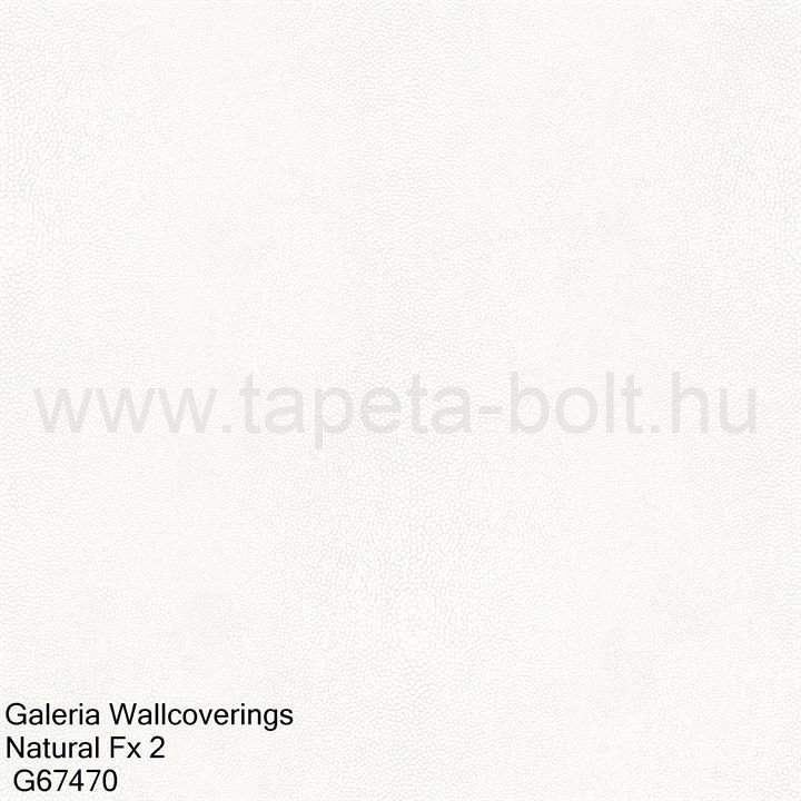 Galeria Wallcoverings Natural Fx 2 G67470