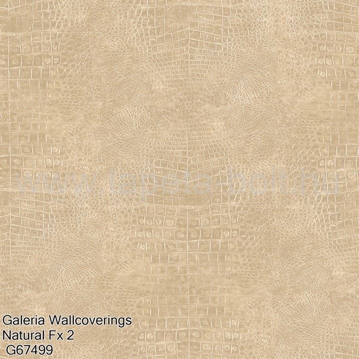 Galeria Wallcoverings Natural Fx 2 G67499