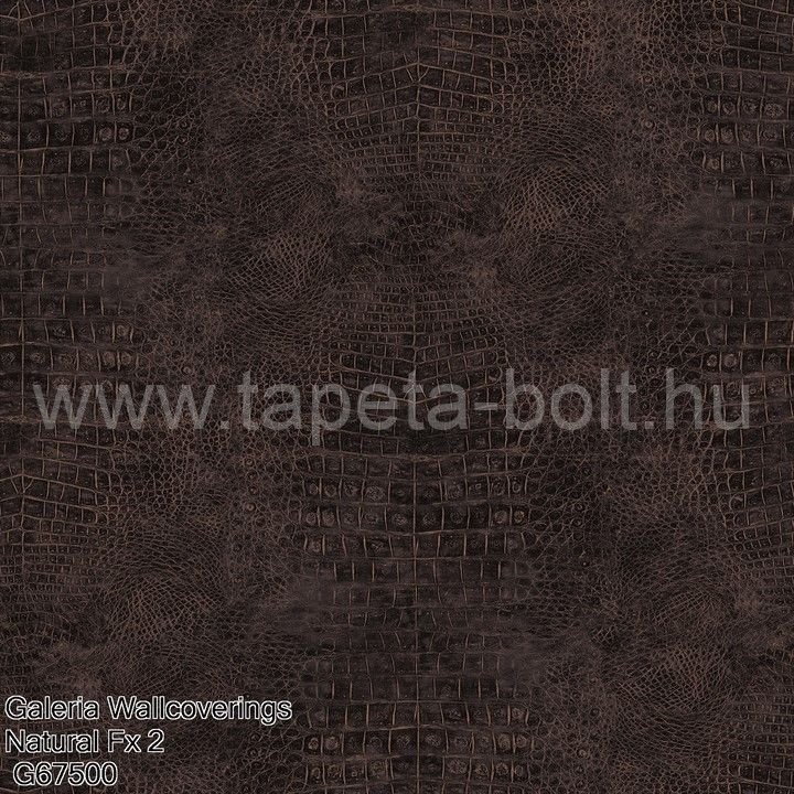 Galeria Wallcoverings Natural Fx 2 G67500