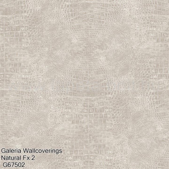 Galeria Wallcoverings Natural Fx 2 G67502