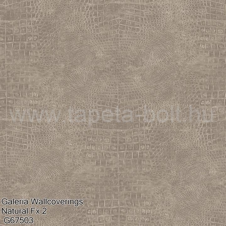 Galeria Wallcoverings Natural Fx 2 G67503