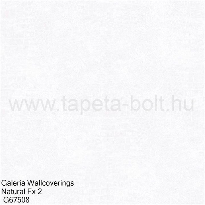 Galeria Wallcoverings Natural Fx 2 G67508
