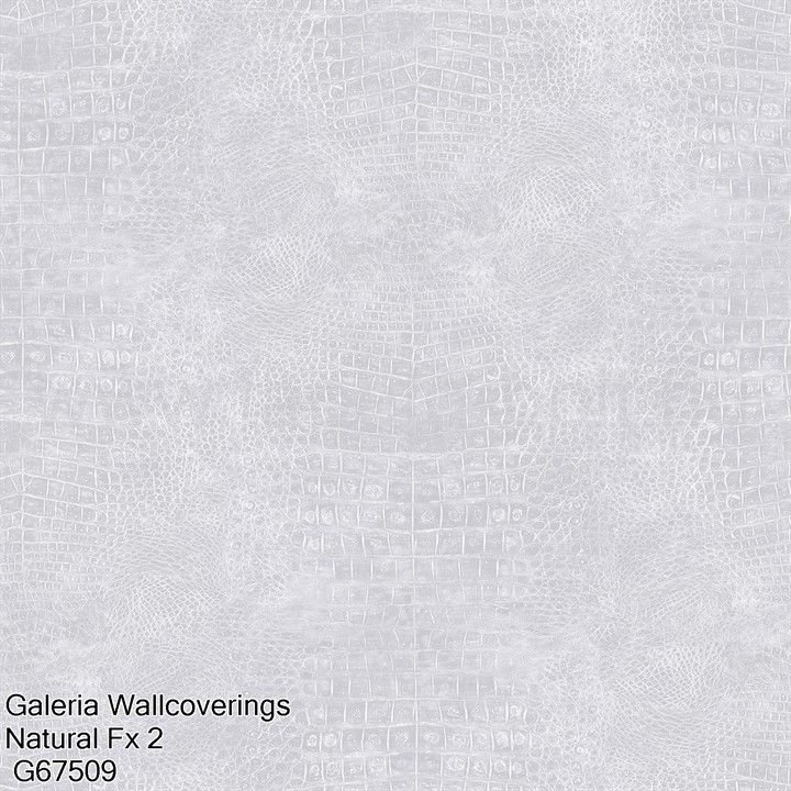 Galeria Wallcoverings Natural Fx 2 G67509