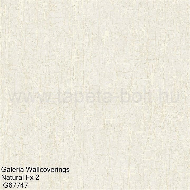 Galeria Wallcoverings Natural Fx 2 G67747