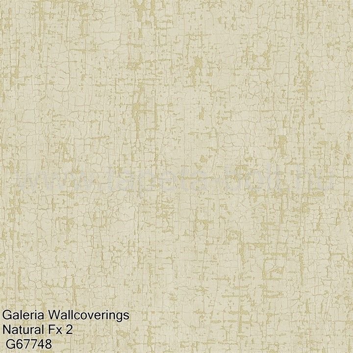 Galeria Wallcoverings Natural Fx 2 G67748