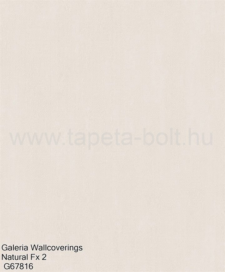 Galeria Wallcoverings Natural Fx 2 G67816