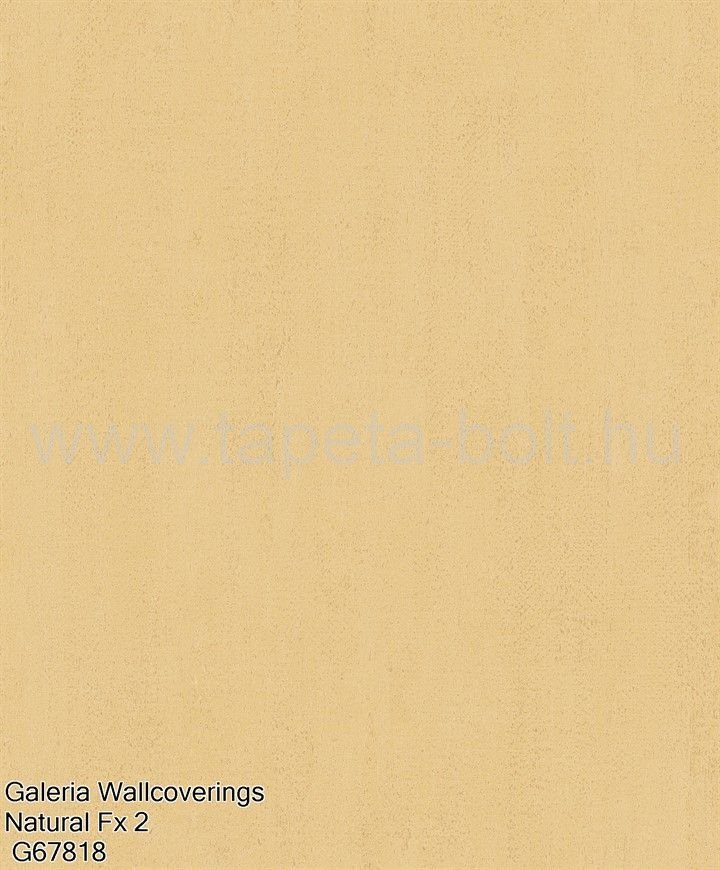 Galeria Wallcoverings Natural Fx 2 G67818