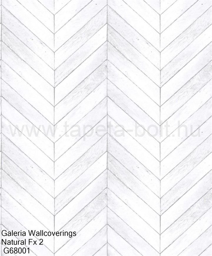 Galeria Wallcoverings Natural Fx 2 G68001