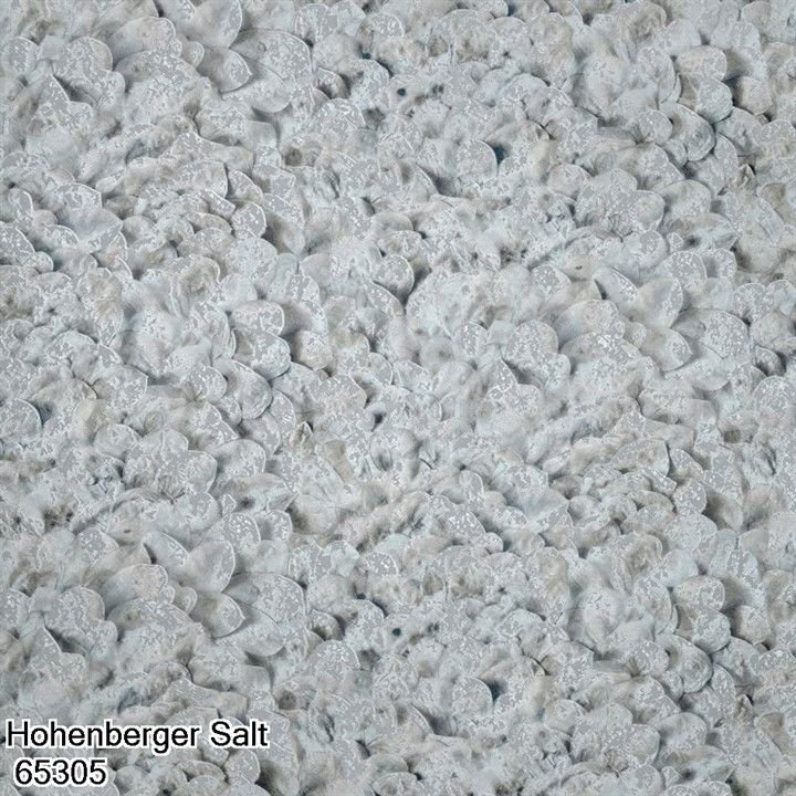 Hohenberger Salt 65305