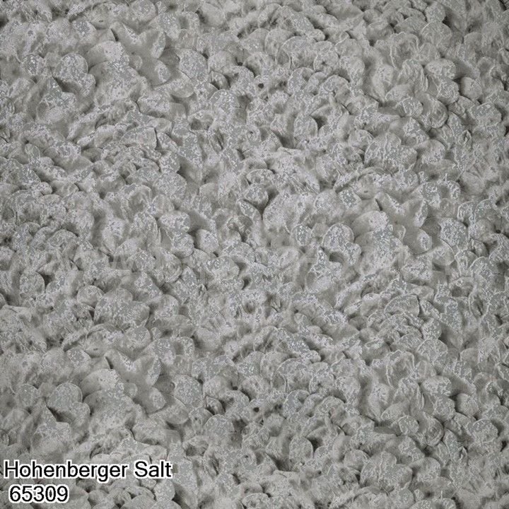 Hohenberger Salt 65309
