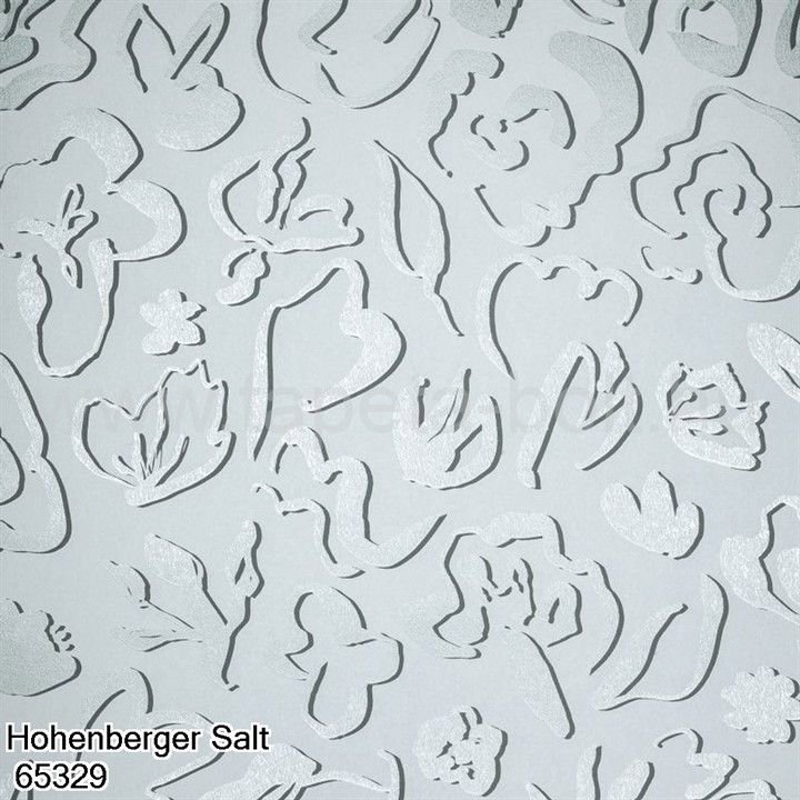 Hohenberger Salt 65329