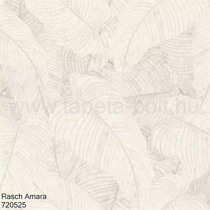 Rasch Amara 720525