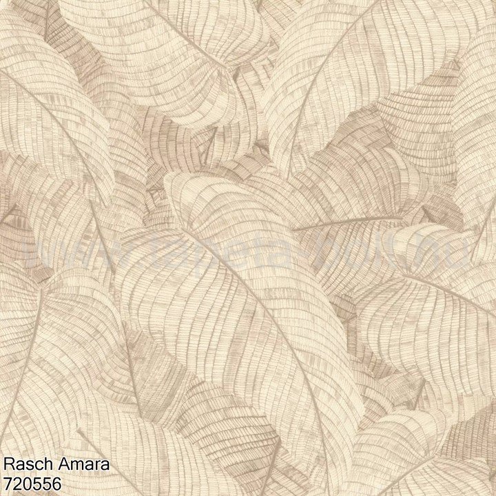 Rasch Amara 720556