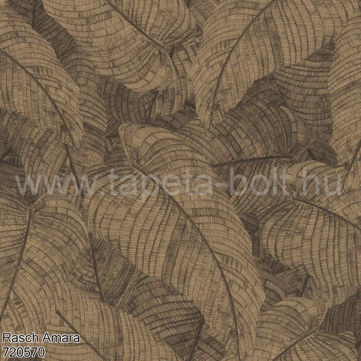 Rasch Amara 720570
