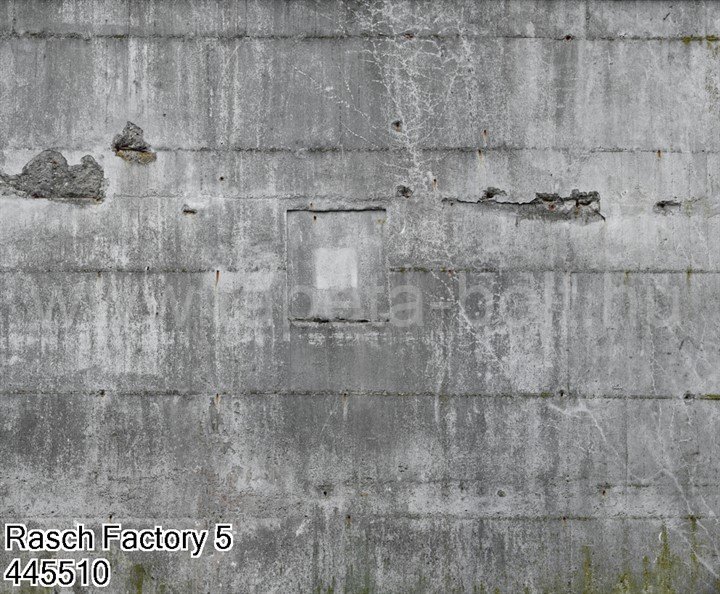 Rasch Factory 5 445510