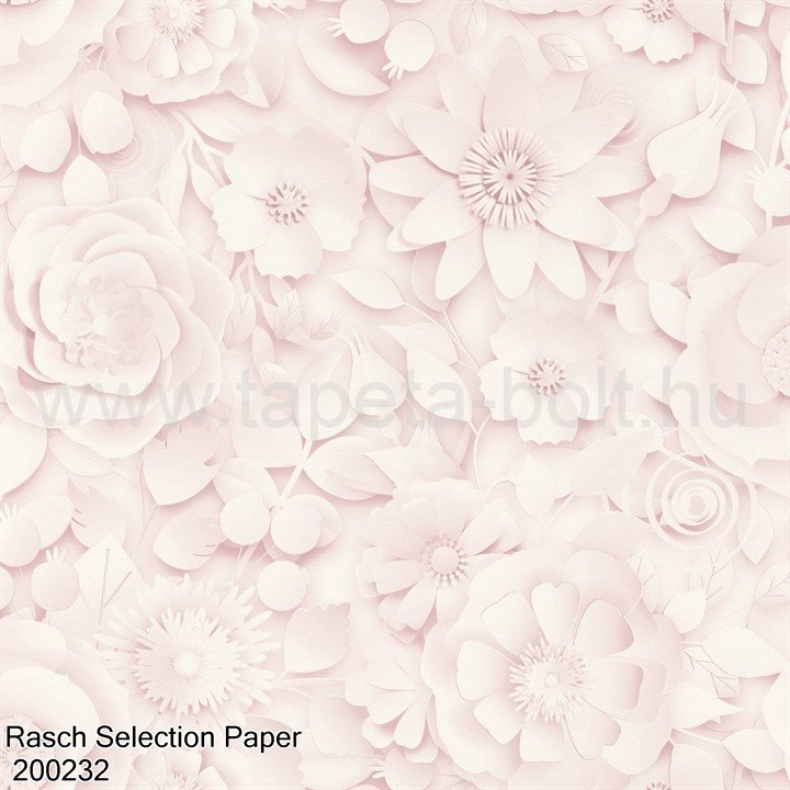 Rasch Selection Paper 200232