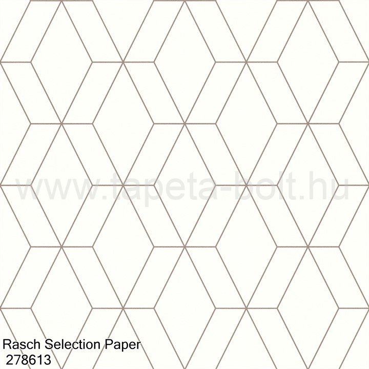 Rasch Selection Paper 278613
