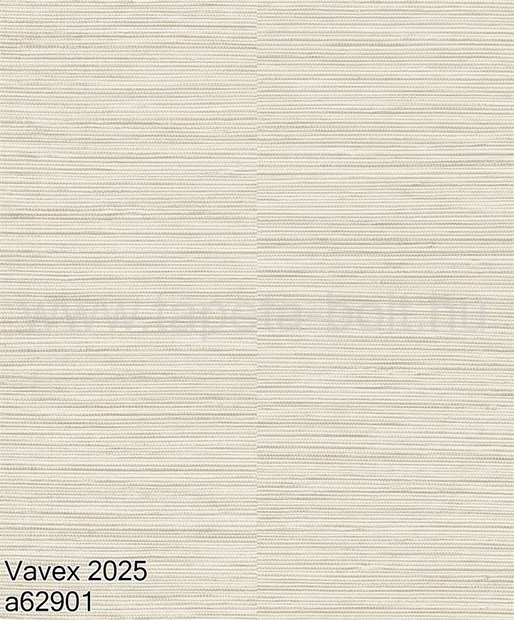 Vavex 2025 A62901