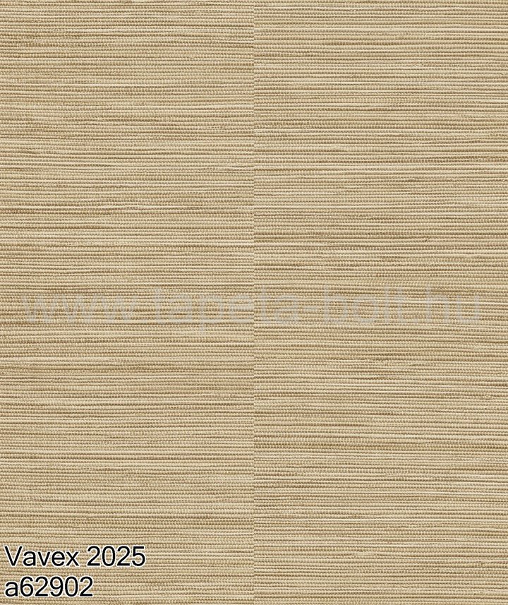 Vavex 2025 A62902