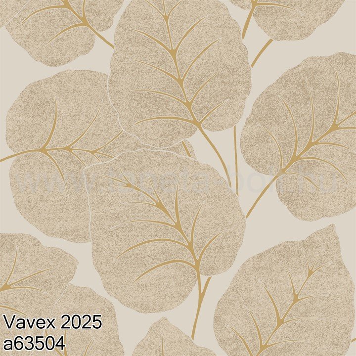 Vavex 2025 A63504