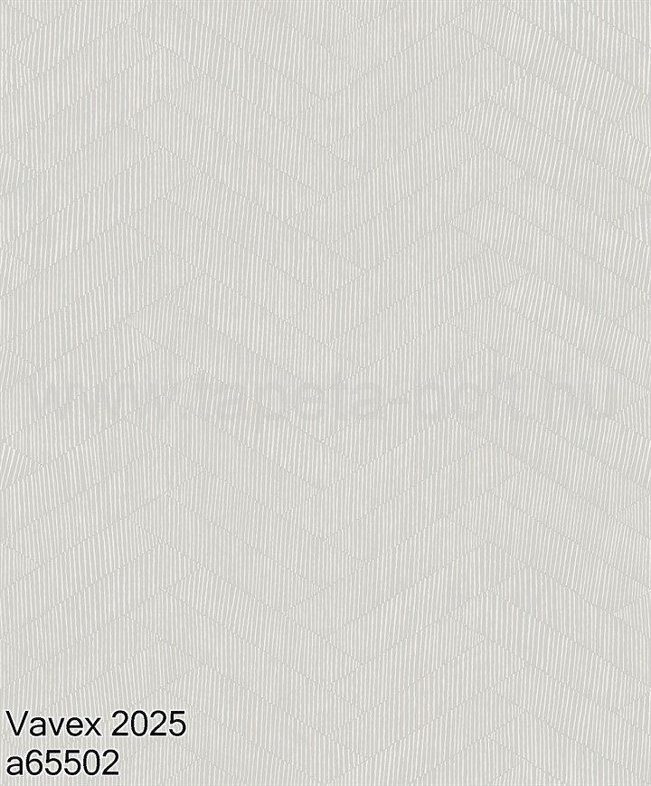 Vavex 2025 A65502