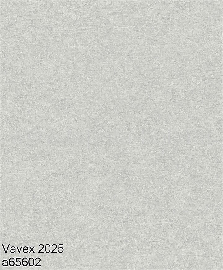 Vavex 2025 A65602
