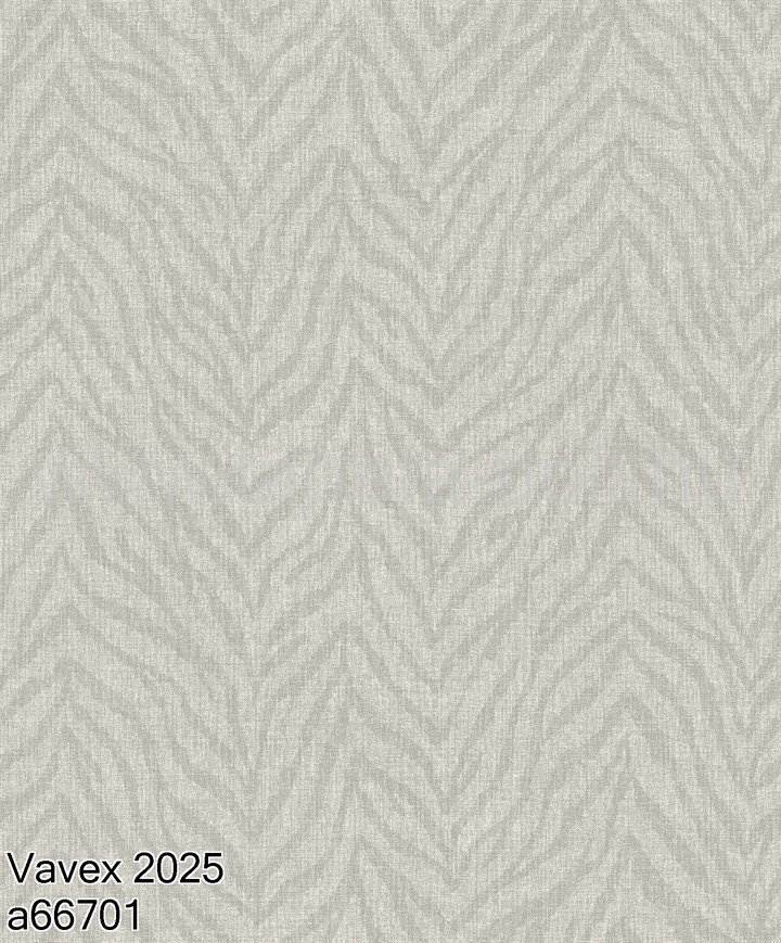 Vavex 2025 A66701