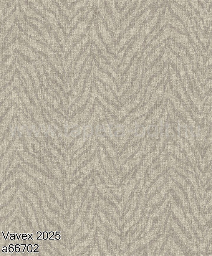 Vavex 2025 A66702