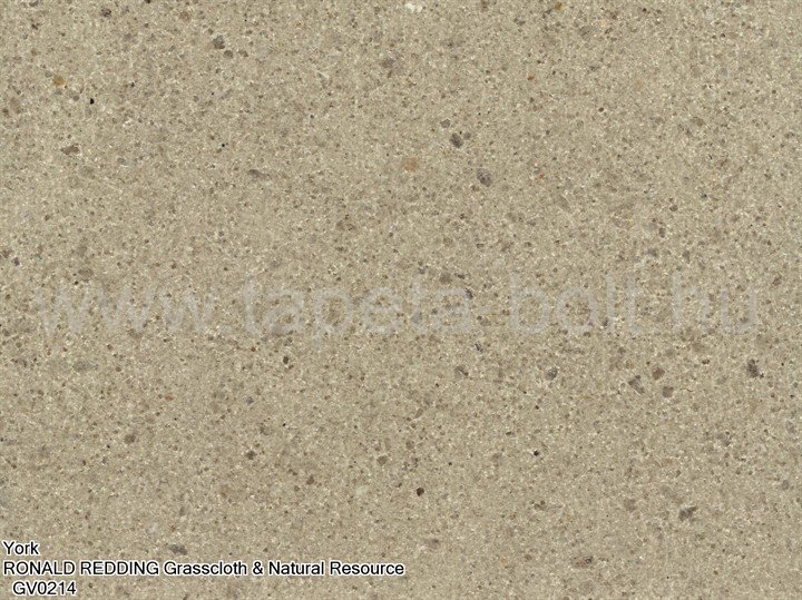 York Ronald Redding Grasscloth & Natural Resource Gv0214