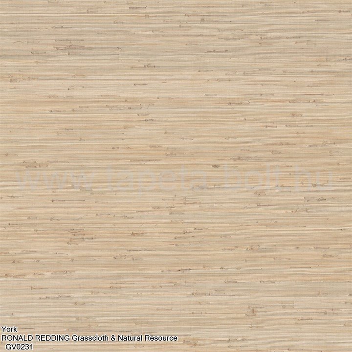 York Ronald Redding Grasscloth & Natural Resource Gv0231