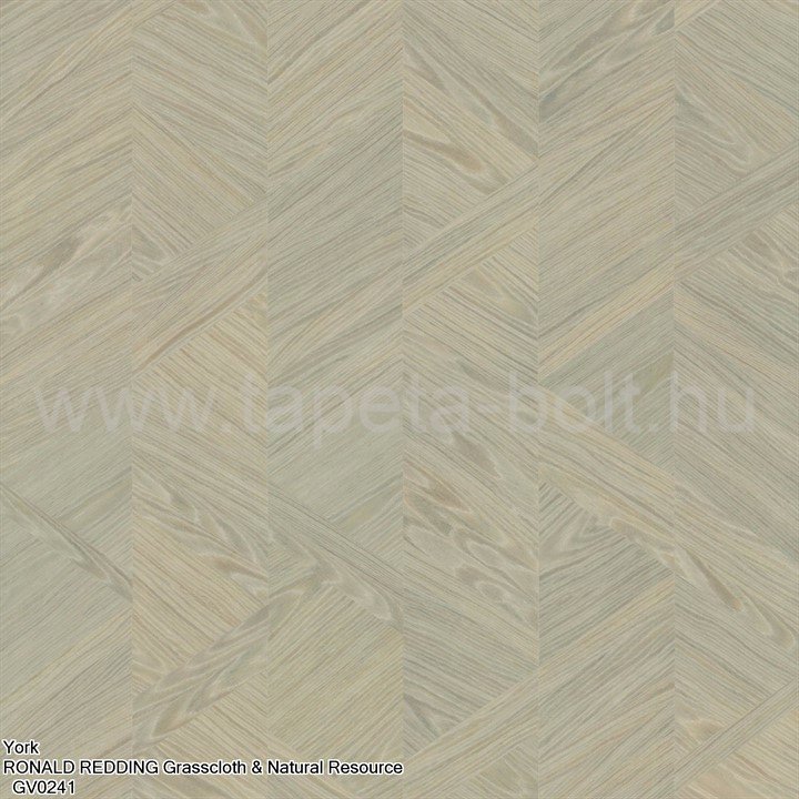 York Ronald Redding Grasscloth & Natural Resource Gv0241