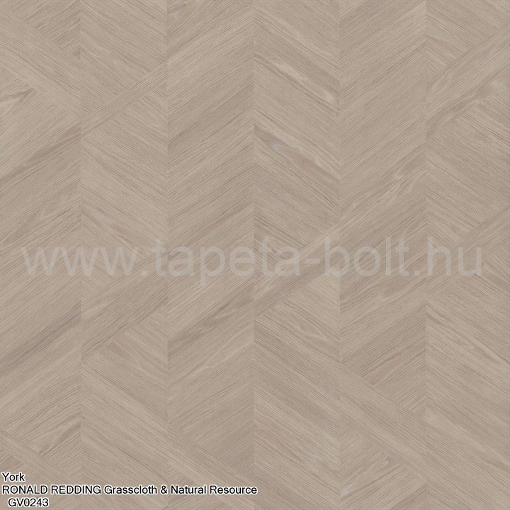 York Ronald Redding Grasscloth & Natural Resource Gv0243