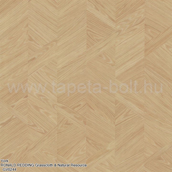 York Ronald Redding Grasscloth & Natural Resource Gv0244