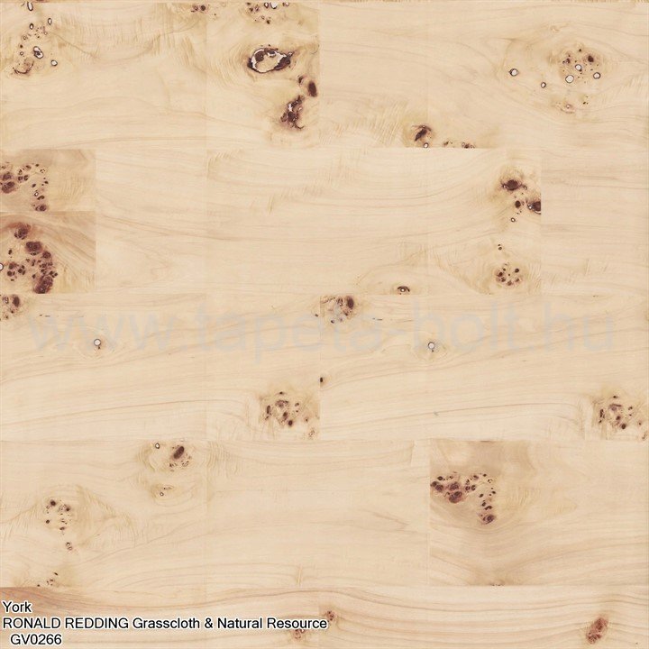 York Ronald Redding Grasscloth & Natural Resource Gv0266