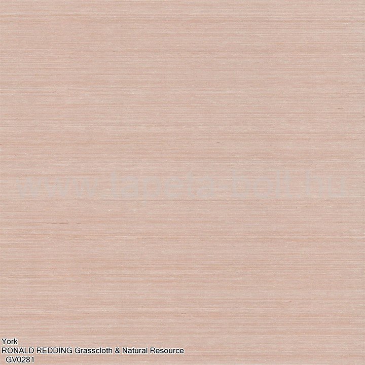 York Ronald Redding Grasscloth & Natural Resource Gv0281