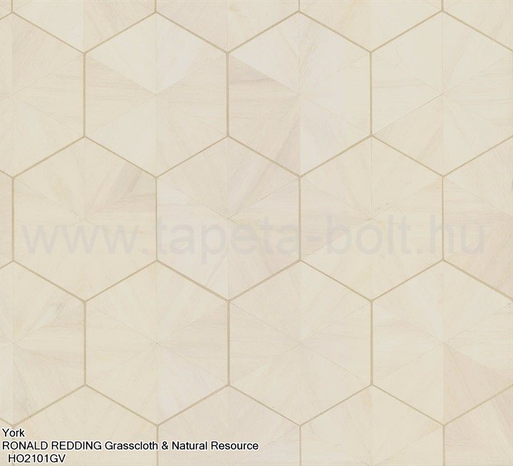 York Ronald Redding Grasscloth & Natural Resource Ho2101Gv