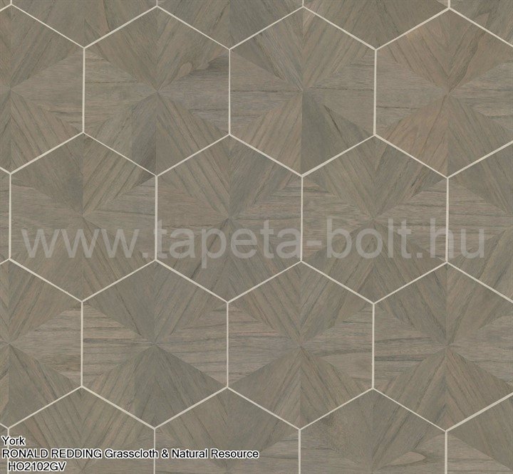 York Ronald Redding Grasscloth & Natural Resource Ho2102Gv