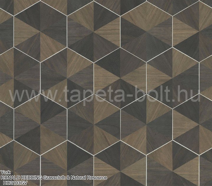 York Ronald Redding Grasscloth & Natural Resource Ho2103Gv