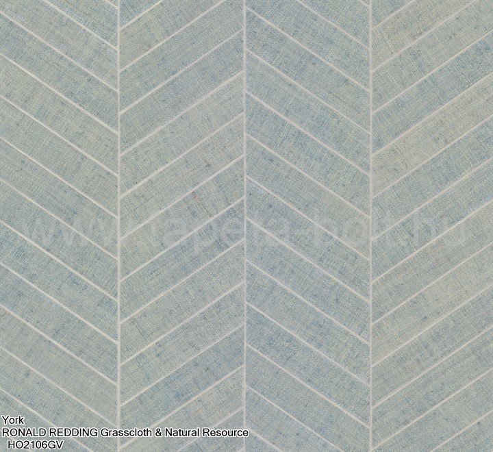 York Ronald Redding Grasscloth & Natural Resource Ho2106Gv