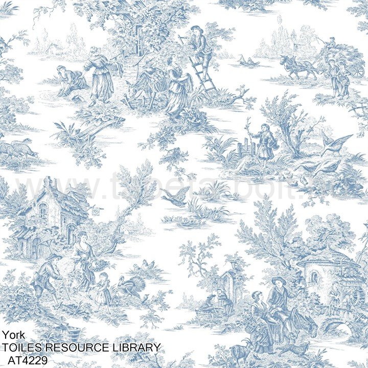 York Toiles Resource Library At4229