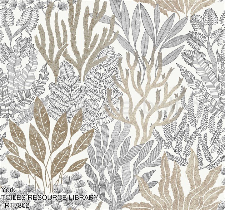 York Toiles Resource Library Rt7802