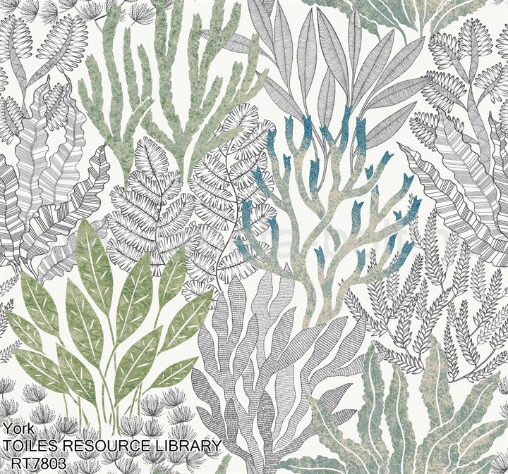 York Toiles Resource Library Rt7803