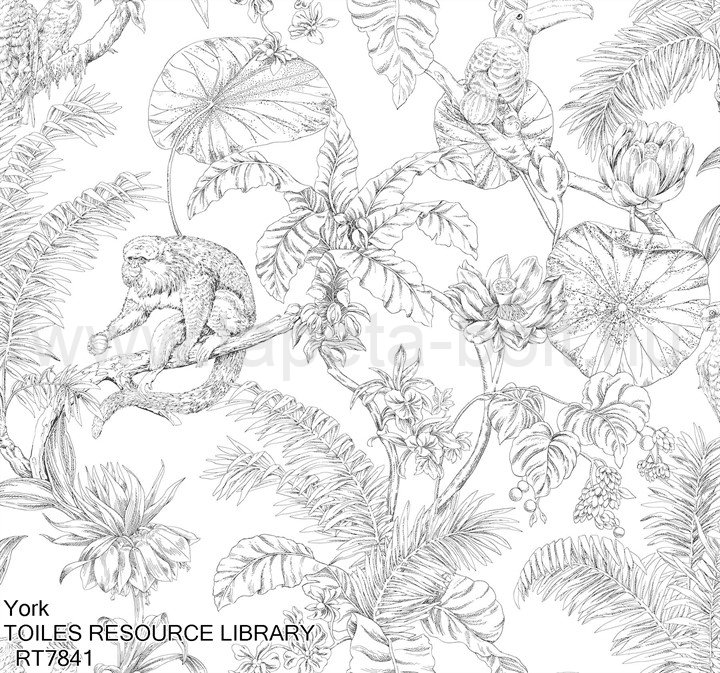 York Toiles Resource Library Rt7841