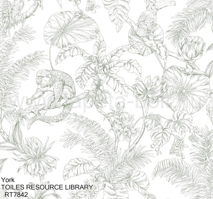 York Toiles Resource Library Rt7842